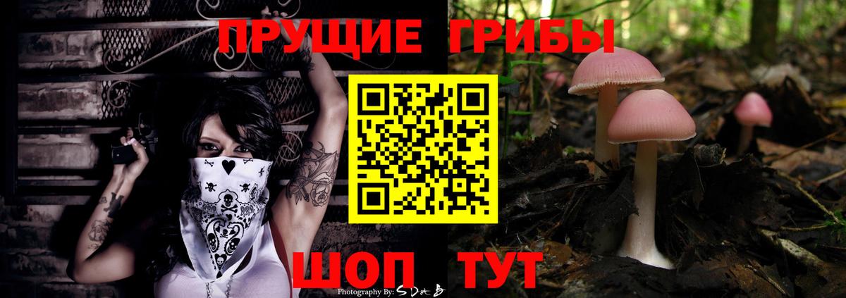 Галлюциногенные грибы Magic Shrooms  Вход с VPN  Гусиноозёрск 